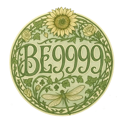 BE9999 অ্যাপটি কীভাবে ইনস্টল করবেন